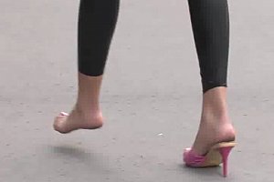 欧美人与动物xxxxxxxx
